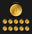 cryptocurrency gold coins with logo vector image