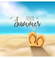 summer beach travel design sun with sand vector image