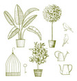 potted plants birds and cage sketch vector image