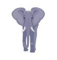 front view of standing large gray african elephant vector image