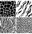 animals seamless pattern vector image