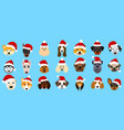 set different breeds of dogs in hats of santa vector image vector image
