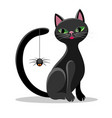 black cat and spider vector image vector image