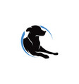 pets logo template this cat and dog logo co vector image vector image