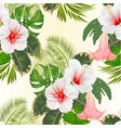 seamless texture tropical flowers hibiscus vector image