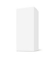 tall box rectangular mock up with side view vector image