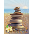 spa stones and white flower vector image