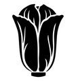 chinese cabbage silhouette icon vector image