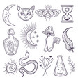 boho magic mystical occult witch design element vector image