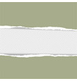 color torn paper vector image vector image