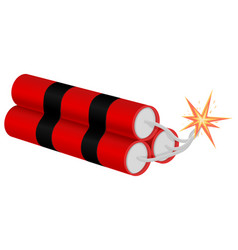 Dynamite isolated on white background design Vector Image