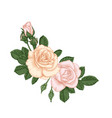 beautiful bouquet with pastel pink roses buds vector image