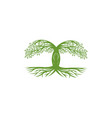 tree and root logo template vector image