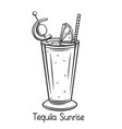 tequila sunrise cocktail vector image vector image