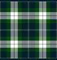 Green and blue tartan plaid seamless pattern Vector Image