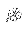 doodle clover vector image