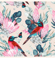 seamless pattern with birds and protea vector image vector image