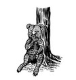 baby little bear sits tree and licks its vector image vector image