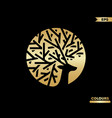 Deer gold logo vector image