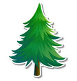 pine tree sticker on white background vector image