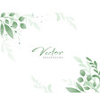 watercolor background vector image