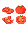 organic ripe tomato sliced vegetable set vector image