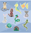 colorful sketch nice pets collection vector image