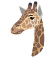 giraffe portrait made in unique simple cartoon vector image vector image