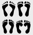 prints of feet vector image vector image