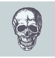 human skull vector image