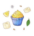 set of banana cupcake hand drawing vector image
