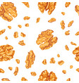 seamless background with walnut vector image