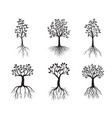 set back tres with roots outline vector image vector image