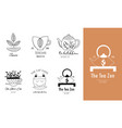 hand drawn tea logo set in doodle style vector image