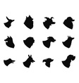 dog head icons vector image