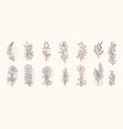 minimal botanical hand drawing design for logo vector image