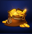cartoon big old bag with gold coins cash prize vector image vector image