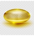 transparent capsule image vector image
