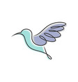 hummingbird logo design template vector image