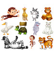 set of animal cartoon character vector image