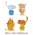 trained animal dog and cat set vector image vector image