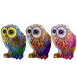 owl wall sticker set 3 artistic owls vector image vector image