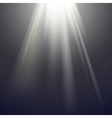 light effect spotlight vector image vector image