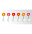 flowers in pots stock vector image vector image