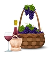 wine grape and basket vector image vector image