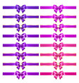 realistic purple and pink bows with golden border vector image
