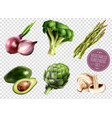 vegetables transparent set vector image vector image