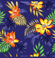 sunny lily flowers leaves seamless phantom blue vector image