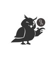 school owls template color cute birds studying vector image