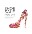 women shoes vector image vector image